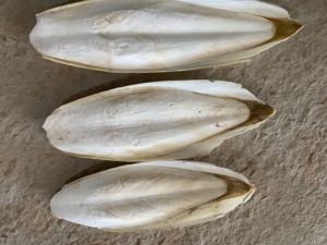 <b>Cuttlefish</b> Bone Exporters Natural <b>Cuttlefish</b> Bone Calcium Supplement Food for Pets - Product Image 5