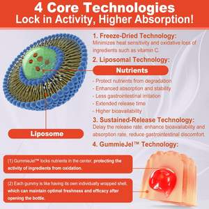 Vigo-Gomitas rellenas de <span class=keywords><strong>complejo</strong></span> de vitamina <span class=keywords><strong>B</strong></span> para mujeres y hombres, <span class=keywords><strong>complejo</strong></span> <span class=keywords><strong>B</strong></span> metilado <span class=keywords><strong>con</strong></span> <span class=keywords><strong>Omega</strong></span> <span class=keywords><strong>3</strong></span>, magnesio, CoQ10,Ashwagandha, vitamina C,TMG - Product Image 4
