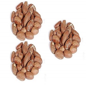 ต้องการสูง Garcinia Kola, Kola ขม, Kola ดิบขมสำหรับสุขภาพเสนอ - Product Image 1