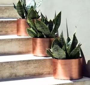 Jardinières et pots de fleurs en cuivre de forme ronde martelée par un designer moderne - Product Image 6