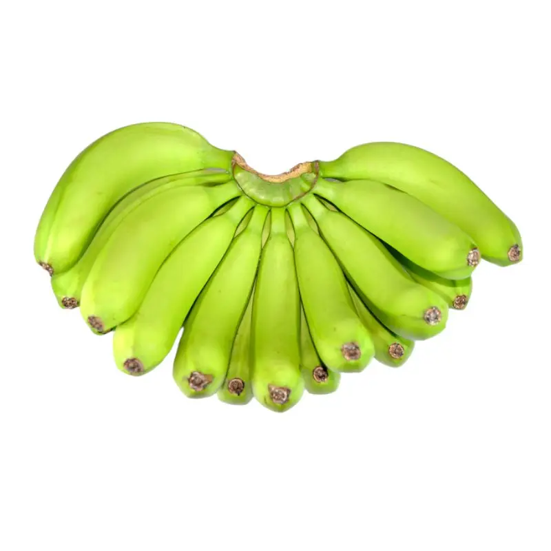 Vente en gros de bananes fraîches biologiques Cavendish en 13.5kg par boîte en carton
