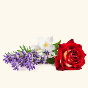 Aceite de Fragancia Zeenath, Aceite de Perfume Premium - Product Image 2