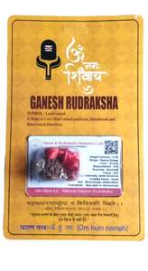 Colgante de plata de la mejor calidad, Nepali Ganesha Rudraksha con certificado de prueba de laboratorio, disponible al mejor precio de la India - Product Image 4