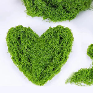 Envío Rápido desde Almacén en EE. UU., Flores Artificiales de Plástico Ecológicas y Ligeras, 30g (1.05oz) /150g (5.3oz), Soporte para Plantas - Product Image 1