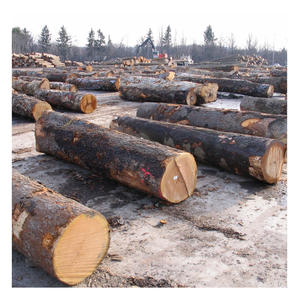 Bûches de pin idéales pour les applications structurelles, offrant un excellent rapport résistance-poids et une durabilité naturelle pour la construction en gros. - Product Image 2