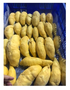 ผงสกัดทุเรียนคุณภาพพรีเมี่ยมผลไม้แห้งแช่แข็งหลากหลาย Monthong จากเวียดนามไม่มีสารเติมแต่งไม่มีน้ําตาลเพิ่ม - Product Image 4