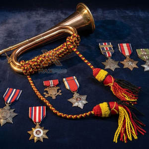 Cordones de Alta Calidad en Color Sólido, Precio Razonable, Venta Directa de Fábrica, Bajo MOQ, Marca Privada - Product Image 3