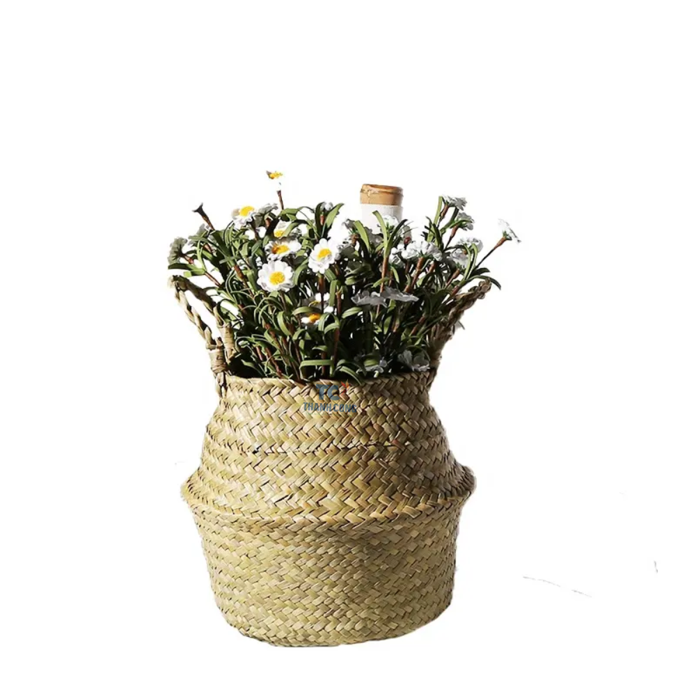 สีธรรมชาติ