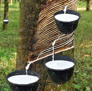 CAUCHO NATURAL FUERTE y VERSÁTIL/ALTA RESISTENCIA A LA TRACCIÓN/DURADERO/HECHO en VIETNAM - Product Image 3