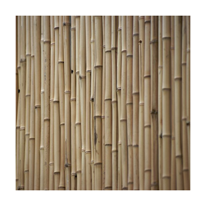 Palos de bambú 100% para jardinería y decoración - Product Image 1