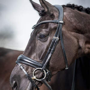 Brida de doma negra - Product Image 4