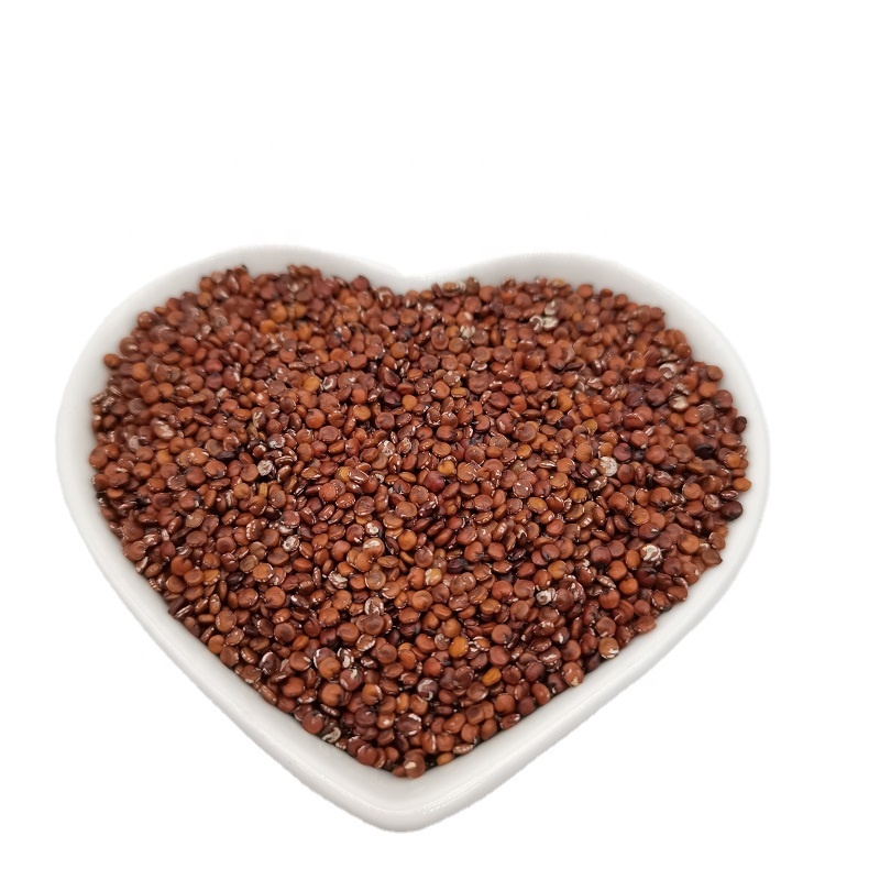 Bulk Organic Quinoa Grains Light Color Uniform Size and Long Shelf Life