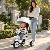 Tricycle poussette 3 en 1 pour enfants OEM avec poignée de poussée, capote réglable, vélo pour tout-petits, tricycle bébé pour les voyages en plein air