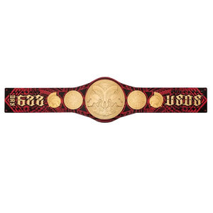 Usos 622-Day Longest Regning Limited Edition Title Manufacture Custom High Quality Wrestling Heavyweight Championship Belt - Product Image 2