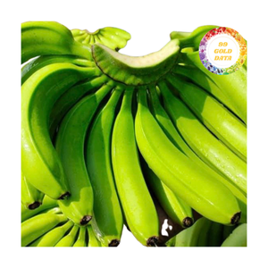 Bananes fraîches récoltées à la ferme apparence soignée avec une maturité équilibrée pour un transport longue distance - Product Image 5