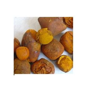 หินก้อนวัวสำหรับขายในราคาต่ำซื้อนิ่วในถุงวัวคุณภาพดีสั่งซื้อจำนวนมากตอนนี้สำหรับการจัดส่งที่รวดเร็วและราคาไม่แพง - Product Image 3