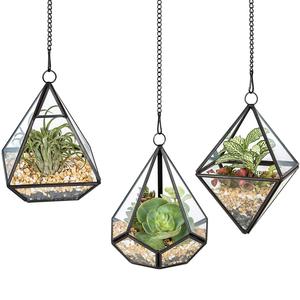 Terrarium en verre de qualité supérieure pour décoration de salon ou de salle à manger - Product Image 6