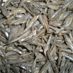 Anchois gris frais séchés au soleil en gros - Product Image 1