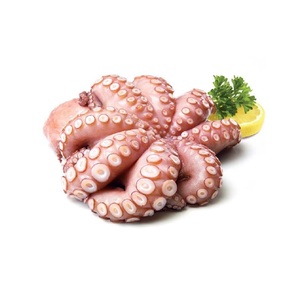 Pulpo bebé congelado de mar redondo entero al por mayor/pulpo de gran tamaño con precio competitivo productos del mar al por mayor - Product Image 2