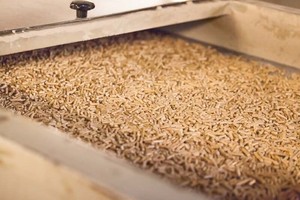 Compañía Mayorista de Aserrín de Madera para Exportación, Distribuidor a Granel, Proveedor Internacional, Combustible de Biomasa para Exportación, 6mm de Diámetro, 1% de Humedad - Product Image 4