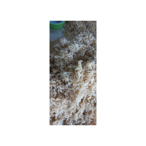 Premium Vietnamese Eucheuma Cottonii <b>Seaweed</b> Carefully Processed to Ensure Purity and Quality Suitable for Various - Product Image 6