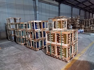 [Leo Nguyen Le] - Vente en gros de pots à fleurs en céramique vietnamienne, finition mate, avec soucoupes, pour jardin, balcon, design créatif - Product Image 5