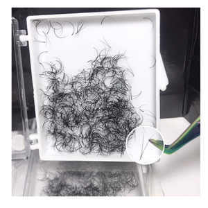 Pestañas Postizas Sintéticas 2D Personalizadas, Pre-Hechas, Voluminosas, Hechas a Mano, Suaves y Lisas, en Bandeja para Salón de Belleza, Listas para Exportación, Extensiones de Pestañas - Product Image 3