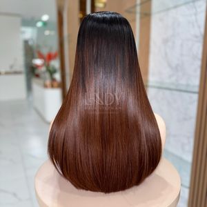 Meilleure qualité 100% perruque de cheveux humains vietnamiens Ombre couleur dentelle avant perruques cheveux vierges - Product Image 4