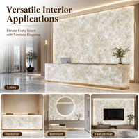 Pierre d'onyx alabastro blanc translucide pour la décoration murale intérieure