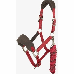 Nouveau 2025 Racing Horse Halter PP Rope Halter et collier de tête de cheval - Product Image 5