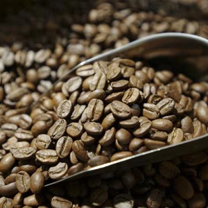 Café Molido Robusta Tostado Especial, Grado A A+, Certificado ISO 22000, Marca TNFOOD, 100% Natural, Exportación a Granel, Fábrica de Vietnam - Product Image 1