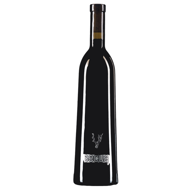 Hochwertige spanische Berber ana Dragon Gran Reserva DO Cataluna Rotwein