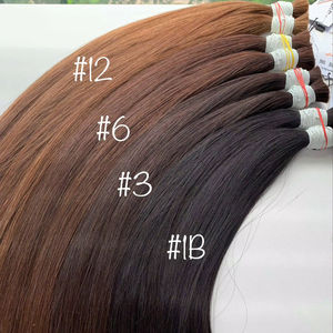 100% extensiones de cabello vietnamita de alta calidad 60cm doble dibujado Color marrón cabello a granel envío rápido - Product Image 1