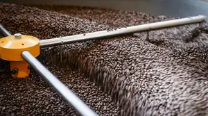 Mélange de grains de café torréfiés biologique 500g TUBERGA de qualité supérieure