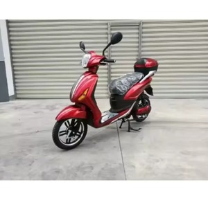 มอเตอร์ไซค์ออฟโรดไฟฟ้า8V มอเตอร์800W 48โวลต์ทรงพลัง - Product Image 2