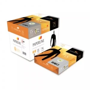 Papier copie multi-usage A4 blanc 80 g/m² Fournisseur IK PLUS Paperline Papier A4 - Product Image 1