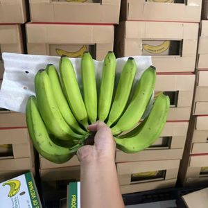 Plátanos Cavendish de alta calidad, grado de exportación para importadores de Oriente Medio - Product Image 2