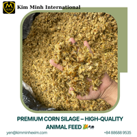 Silage de maïs de qualité alimentaire au meilleur prix pour l'alimentation des chevaux, haute humidité, origine Vietnam