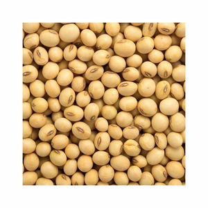 Compre Frijoles de Soja de Brasil de Buena Calidad Bolsas de Grano de Soja Cruda Semillas de Soja Secas a Granel Alimentos Uso Industrial Precio Barato - Product Image 2
