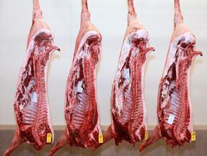 Cerdo Entero Congelado 3/6 Way Cut/Lechón De Cerdo Congelado, Lechón De Cerdo Congelado | Patas De Cerdo Congelado - Product Image 2