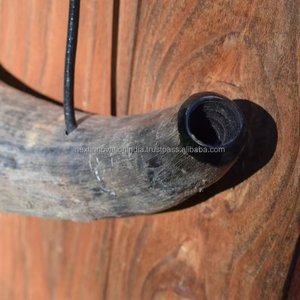 Stein europeo de lujo hecho a mano para aficionados a la cerveza y al hidromiel Cuerno para beber pulido con tamaño personalizable - Product Image 1