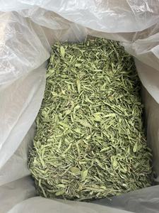 High Grade Stevia Leaf With Clear Sweet Profile Balanced Drying Quality Long <b>Shelf</b> Longevity and Ideal for Bulk Contracts - Product Image 5