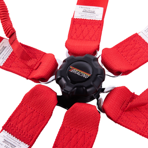 Cinturón DE SEGURIDAD DE CARRERAS FIA ISO9001 - Product Image 6