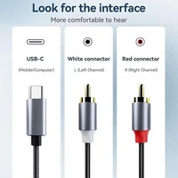 USB-C zu RCA Audiokabel USB-C zu 2 RCA Stecker zu Stecker Y-Splitter mit DAC-Chip Kompatibel mit Pad Pro Google Pixel MacBook Pixel