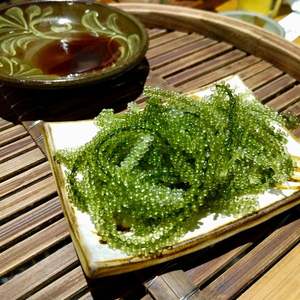 Raisins de mer déshydratés du Vietnam de qualité supérieure pour les fournisseurs en gros - Product Image 4