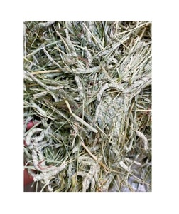 Foin de Timothy en vrac de qualité supérieure, bon marché, pour chevaux et bovins, origine américaine, qualité A, durée de conservation de 1 an - Product Image 2