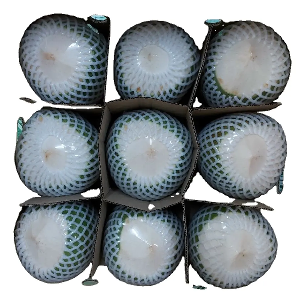 Coconut young High Quality From Vietnam Supplier Sweet Young Coconut Water