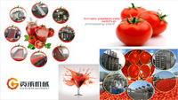 Automatische tomatenpuree productielijn, fruitpuree verwerkingsmachine, fruit- en chilisaus productie-apparatuur