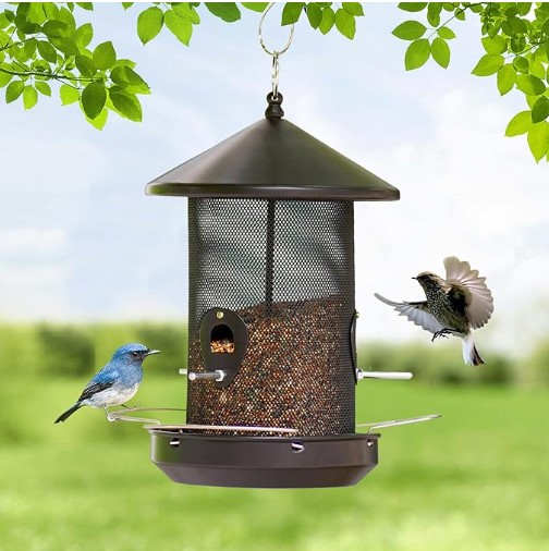 ตามที่แสดง