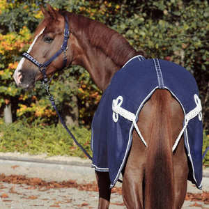 Wholesale Waterproof Breathable <b>Horse</b> Rugs & Blanket with Nylon Lining Equestrian Turnout for <b>Horse</b> Riding - Product Image 3